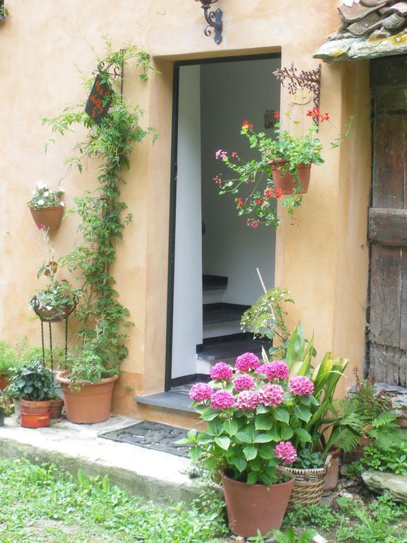 B&B Nelly G Carbuta Екстериор снимка